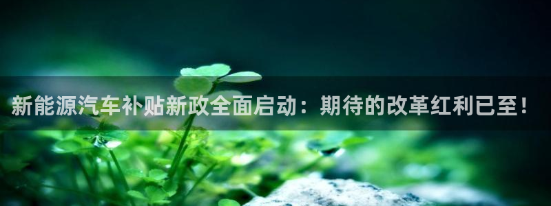 摩根合约娱乐宝:新能源汽车补贴新政全面启动:期待的改革红利已