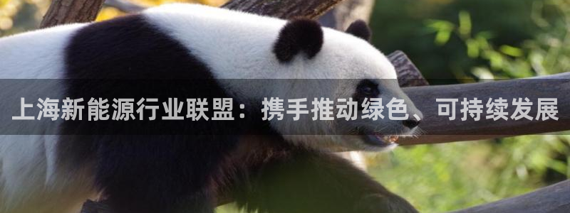 摩根餐饮娱乐:上海新能源行业联盟:携手推动绿色、可持续发展