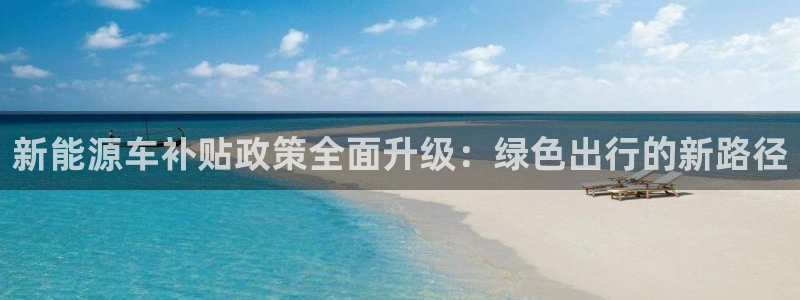 摩根娱乐部:新能源车补贴政策全面升级:绿色出行的新路径