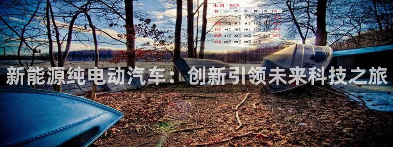 义乌摩根娱乐会所图片:新能源纯电动汽车:创新引领未来科技之旅
