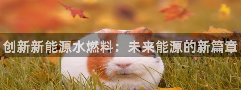 临平摩根娱乐会所电话:创新新能源水燃料:未来能源的新篇章