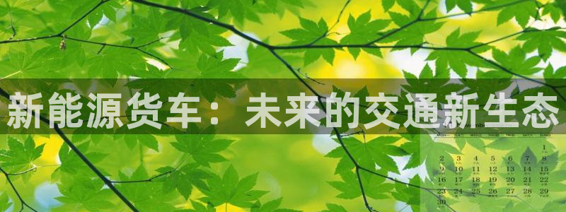 摩根娱乐宝怎么盈利