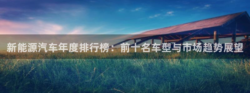 摩根娱乐 总s管50015:新能源汽车年度排行榜:前十名车型