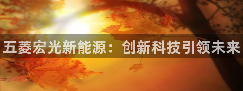 摩根娱乐宝手机客户端:五菱宏光新能源:创新科技引领未来