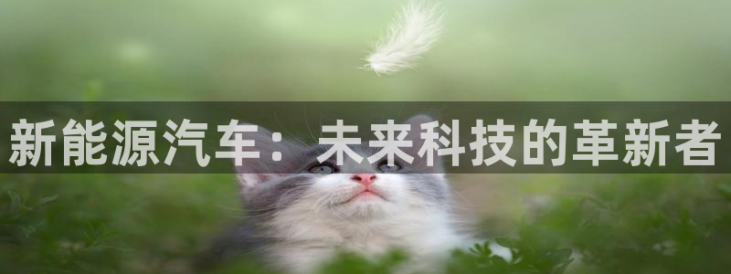 摩根娱乐宝使用操作:新能源汽车:未来科技的革新者