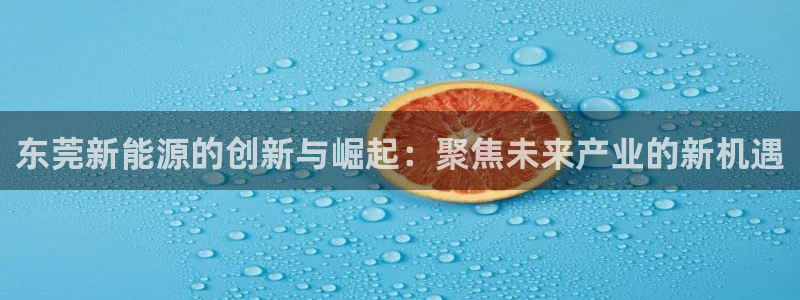 摩根娱乐宝在哪里登录:东莞新能源的创新与崛起:聚焦未来产业的