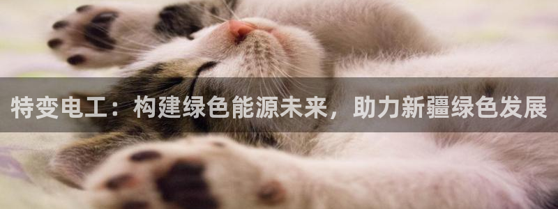 摩根娱乐宝是真的吗:特变电工:构建绿色能源未来,助力新疆绿色