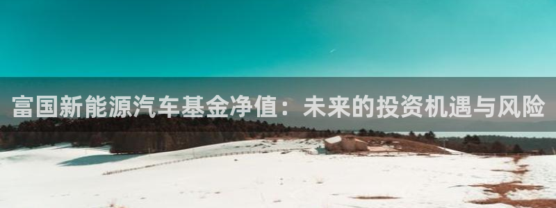 泉州摩根娱乐会所电话多少:富国新能源汽车基金净值:未来的投资