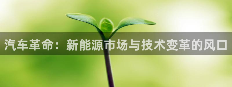 摩根娱乐宝手机客户端