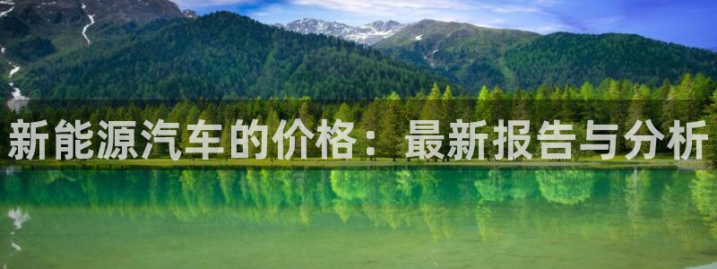 浙江义乌摩根娱乐场所:新能源汽车的价格:最新报告与分析