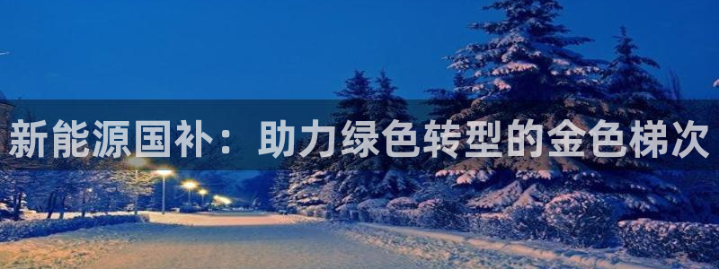 华视娱乐 摩根 王琛：新能源国补：助力绿