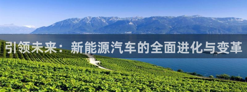 摩根娱乐宝k线图:引领未来:新能源汽车的全面进化与变革