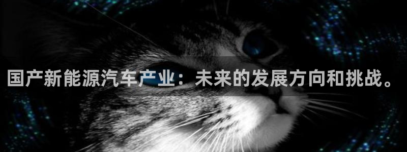 摩根娱乐宝是什么意思:国产新能源汽车产业:未来的发展方向和挑