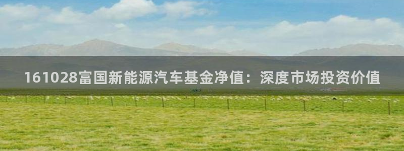 摩根360娱乐:161028富国新能源汽车基金净值:深度市场