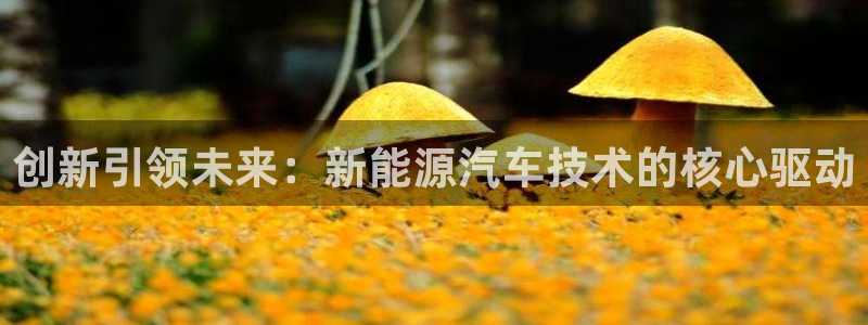 摩根娱乐宝诈骗:创新引领未来:新能源汽车技术的核心驱动