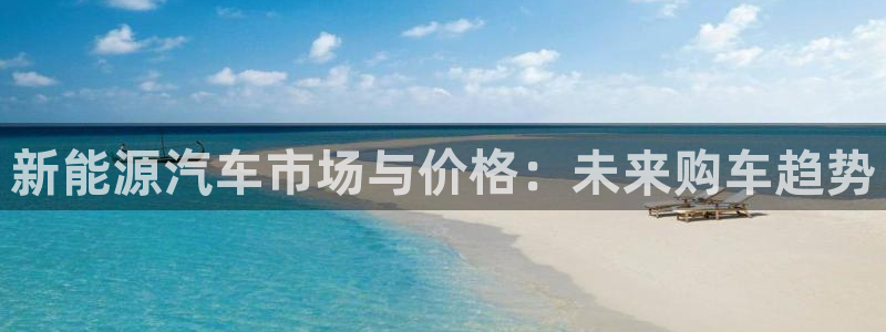 摩根娱乐↑总s管50015:新能源汽车市场与价格:未来购车趋