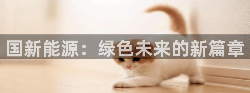 摩根娱乐这个平台怎么样:国新能源:绿色未来的新篇章