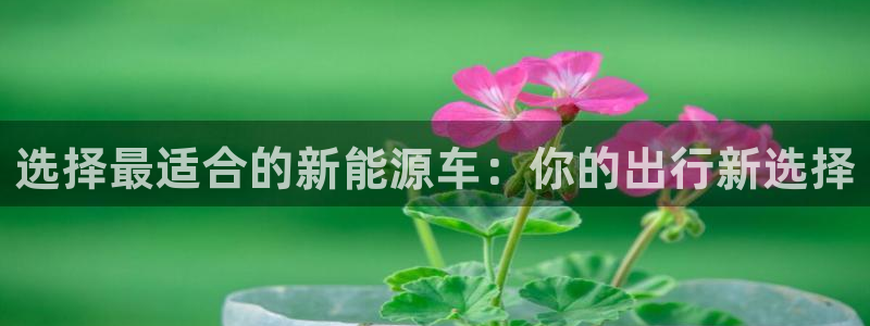 摩根士丹利娱乐银行