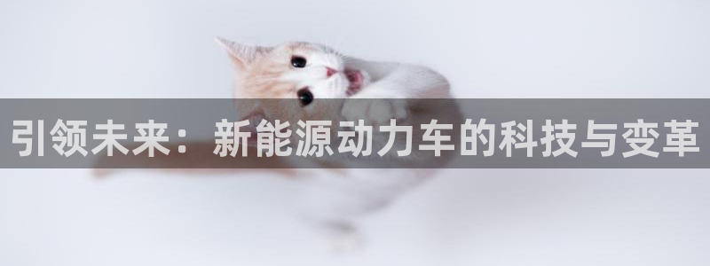 柬埔寨西港摩根娱乐