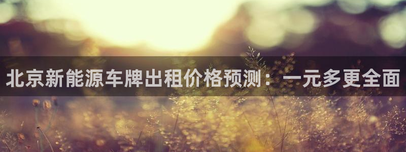 摩根娱乐彩票挂机：北京新能源车牌出租价格