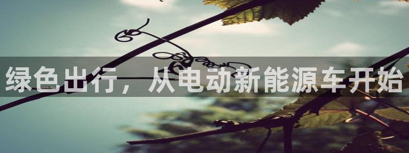 摩根士丹利凯撒娱乐:绿色出行,从电动新能源车开始