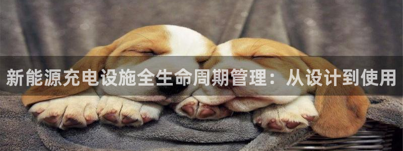 摩根娱乐宝是合法吗:新能源充电设施全生命周期管理:从设计到使