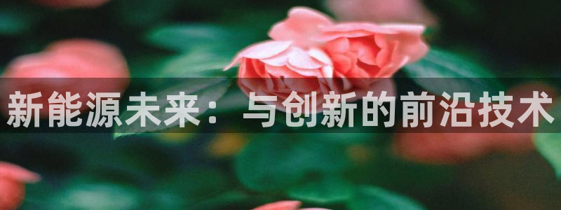 摩根大通黄金娱乐目标价：新能源未来：与创