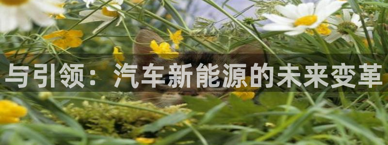 泉州摩根娱乐会所怎么样:与引领:汽车新能源的未来变革