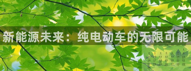 摩根娱乐登录网址：新能源未来：纯电动车的