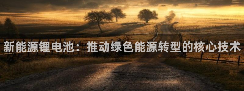 摩根娱乐_ c招a商77130：新能源锂