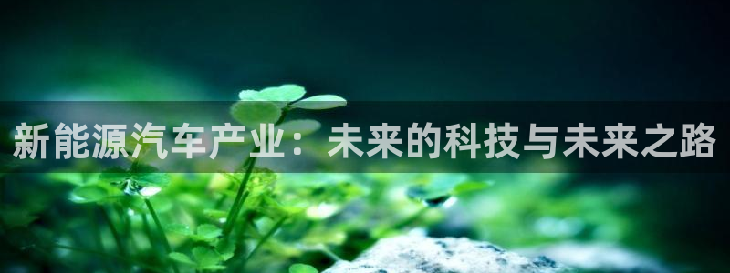 亚瑟摩根娱乐的地方
