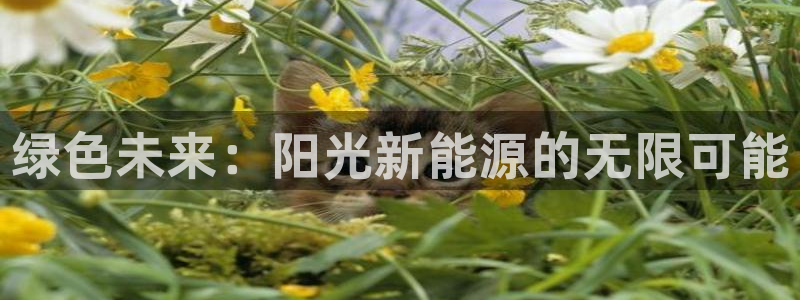 摩根娱乐百家号
