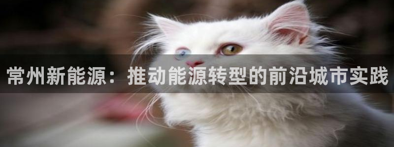 泉州摩根娱乐会所电话号码