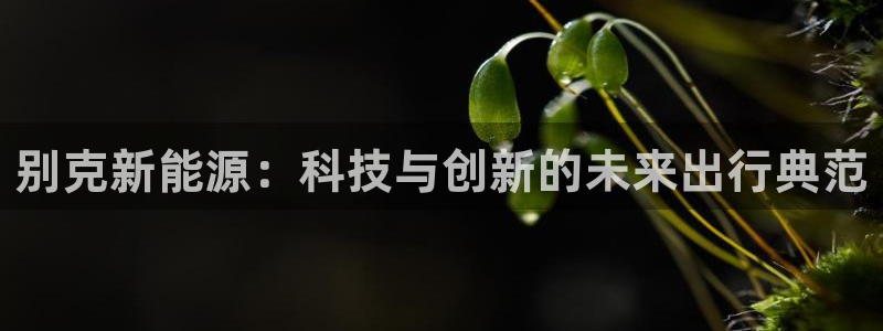 义乌市摩根娱乐会所：别克新能源：科技与创