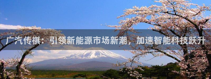 摩根娱乐彩票最忌三种东西：广汽传祺：引领