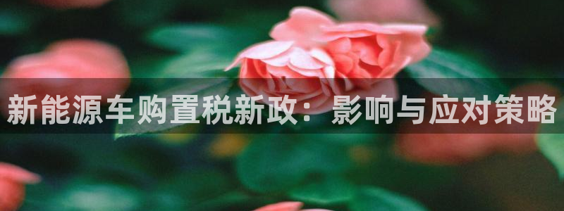 摩根娱乐会所