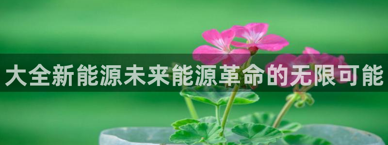 摩根娱乐宝平台下载