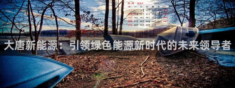 摩根国际亚太娱乐宝