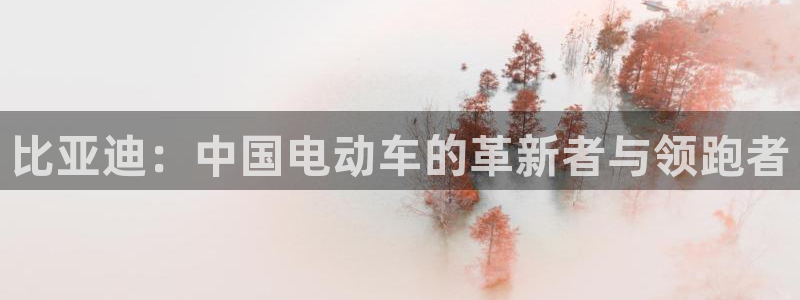 摩根中央公园娱乐