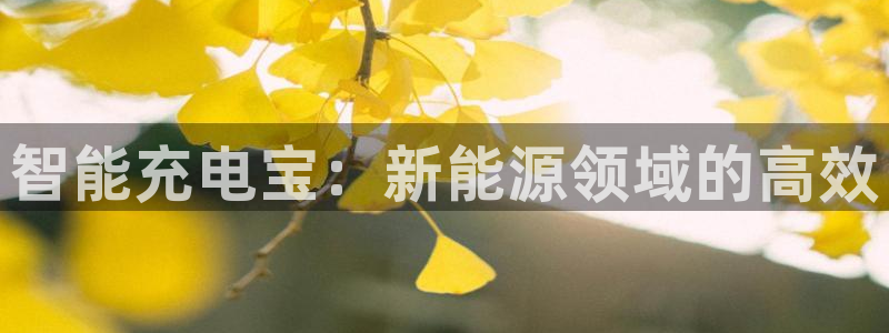 摩根大通黄金娱乐目标价