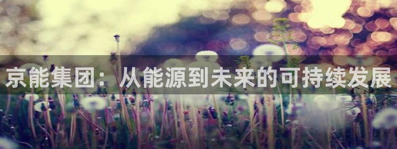 摩根娱乐宝创始人