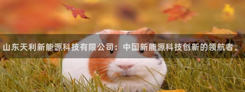 摩根娱乐帐7O777