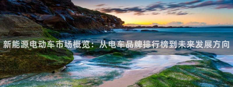 摩根娱乐开户 总s管50015：新能源电