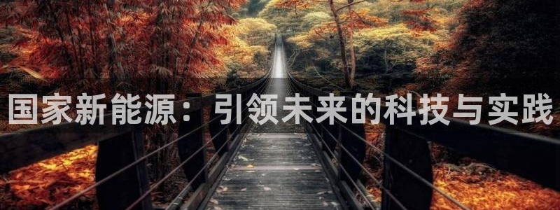 义乌摩根娱乐会所老板：国家新能源：引领未